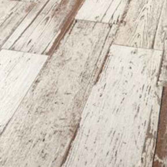 Meet your Posher, Baxter - Picture 1 of 1